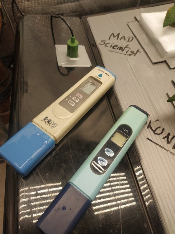 1226483399_Lamictal2021EC.thumb.jpg.3f1002e8ce560476a3c638bca7fe2f0d.jpg