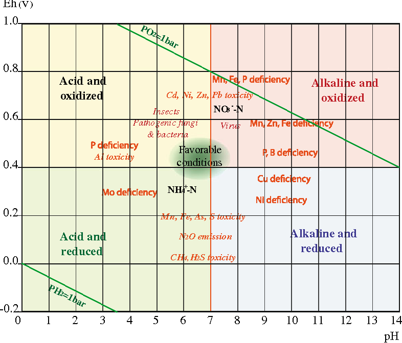 18-Figure5-1.png.1bd2583077a70f3c7904d60134f064a6.png