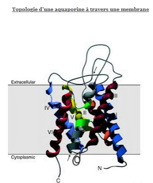 1827486800_2021-10-11(27).png.65fcca0d42ef2a8aa7069d142efc0f45.png