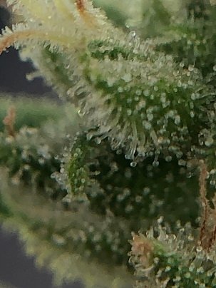 2.jpg.5399ab011057548a46f91f574c11f7c8.jpg