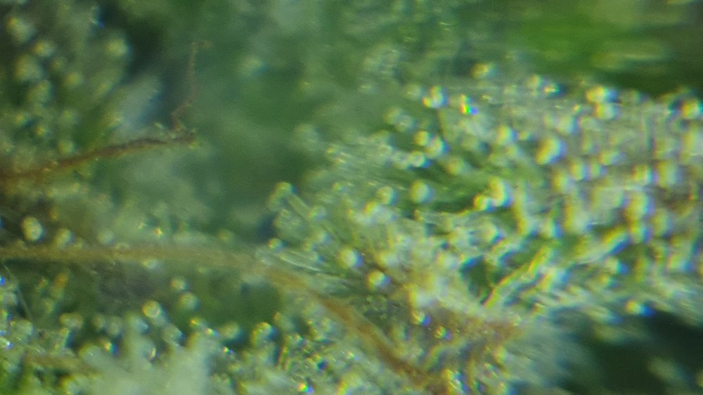 20211001_090559.jpg