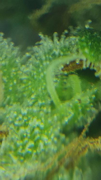 20211001_093005.jpg