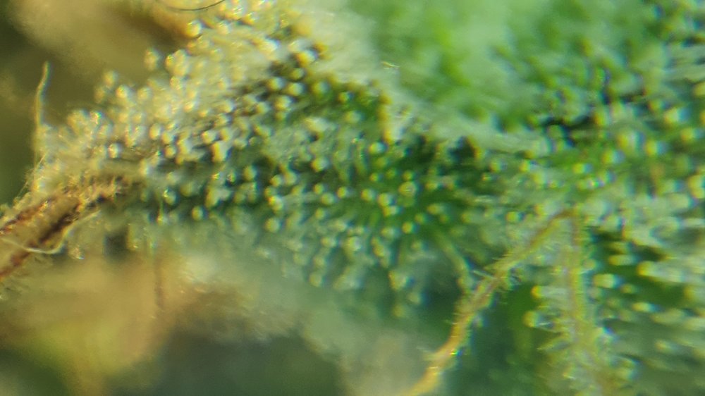 20211001_093211.jpg