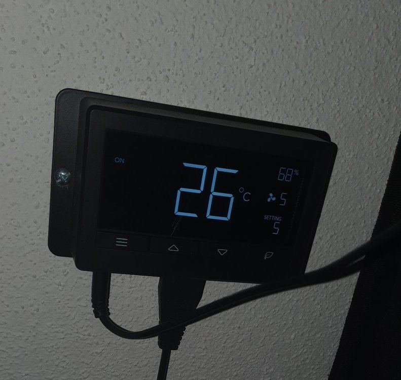 20211025_160851.thumb.jpg.8af23605ad9ff5ee6820b6e25387d74d.jpg