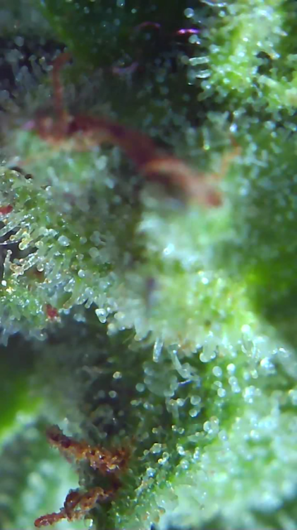 2021_10_06_13_15_08_215.png