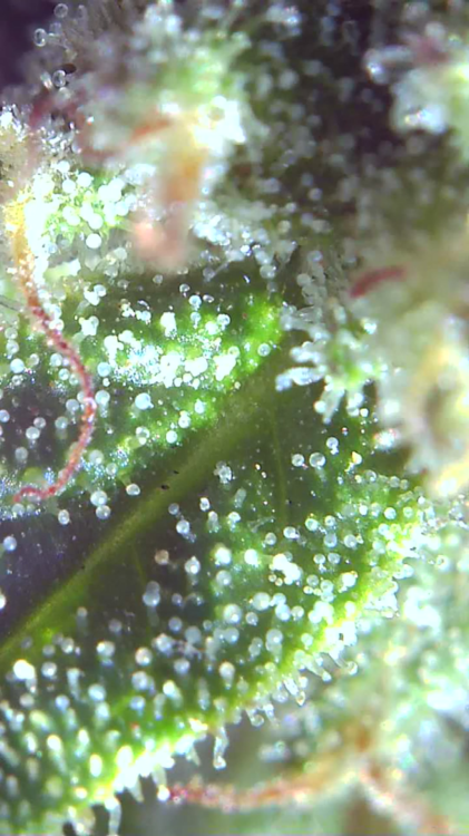 2021_10_06_13_17_17_879.png