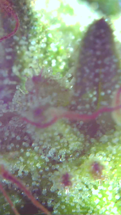 2021_10_06_13_18_07_060.png