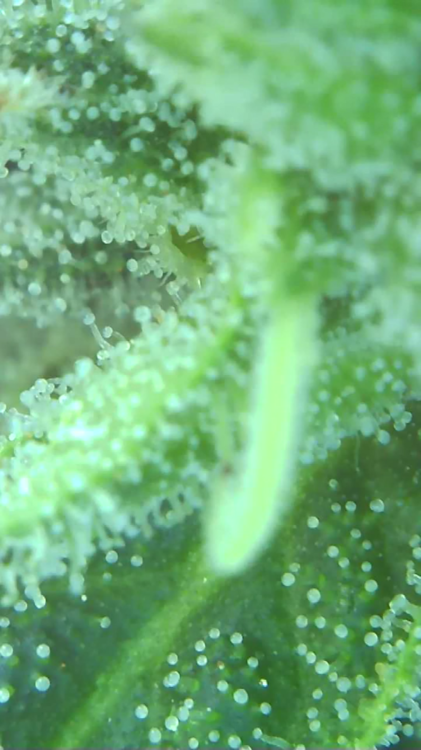 2021_10_06_13_18_17_458.png