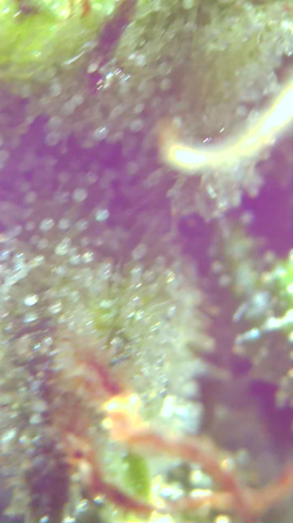 2021_10_06_13_19_10_073.png