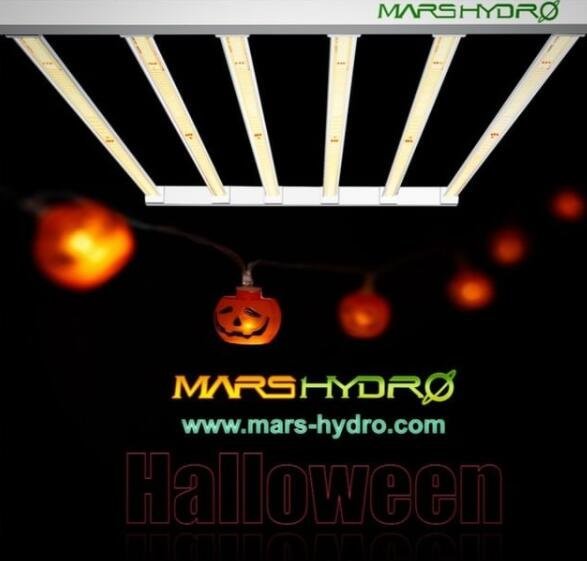 mars hydro.jpg