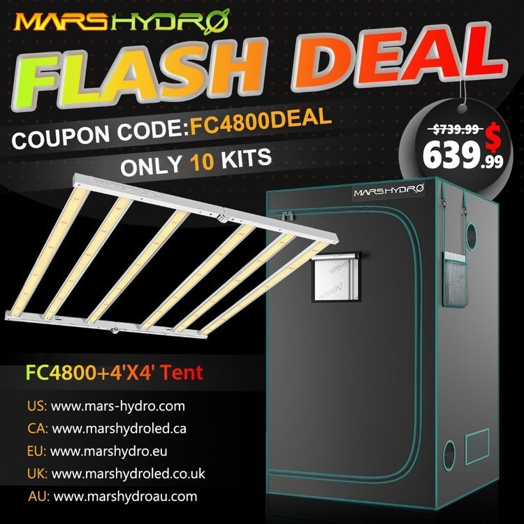 FC4800+120x120-tent-flash deal-mars hydro.jpg