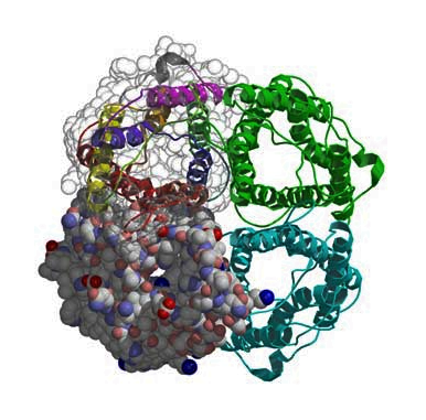 44385695_2021-10-11(26).png.53bbada99eede02de80520248b44b6b1.png