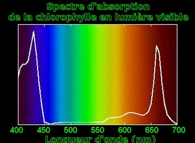 581961127_2021-10-11(44).png.4d0f1ded0c5227c6efab6917a01719ff.png