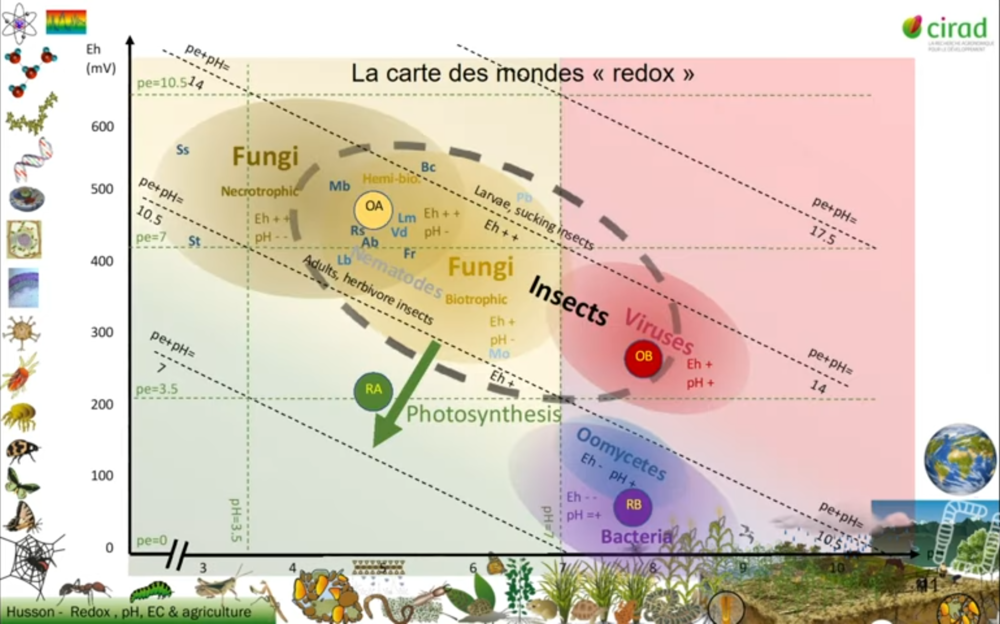 753457044_cartedesmonderedox.thumb.png.662a4c632bd4b5ed984ccb67de6d5579.png