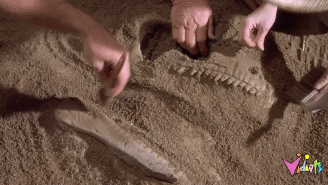 giphy.gif.2e449b88f73b281576ae7770060b7e4f.gif