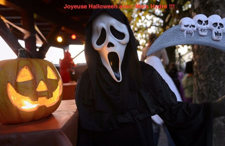 halloween.jpeg.f2a8454a56c5a74800050324bc1ce28e.jpeg