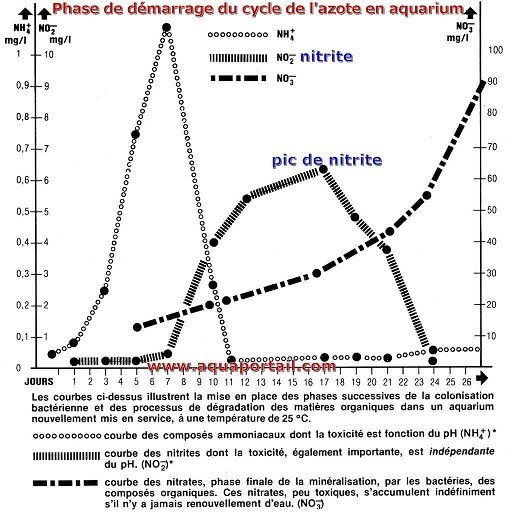 pic-de-nitrite-cycle-de-l-azote.jpg.ac31f698d988b90944ea7fb79c7577d3.jpg