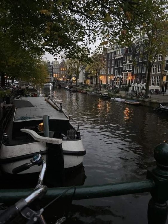 received_1073078993521184.jpeg