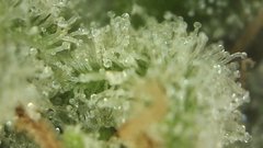 597D07EF-D5E9-41F2-AC1E-EF24D9C06CEC.jpeg