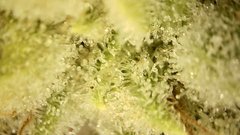 5DF06465-7AEA-433C-AAEA-F71A1D644EC5.jpeg