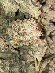 EAB024F9-7903-41CD-A4C9-EF0F86E01832.jpeg