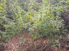 IMG_20211002_084220.jpg