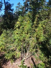 IMG_20211010_095118.jpg