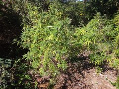 IMG_20211010_095131.jpg