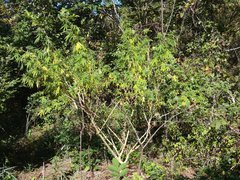 IMG_20211010_095200.jpg