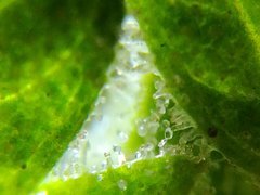 IMG_20211010_123847.jpg