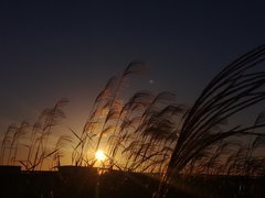 IMG_20211010_170426.jpg