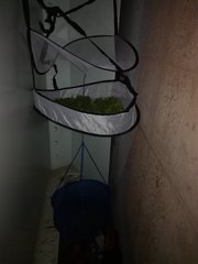 IMG_20211010_214407.jpg