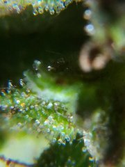 IMG_20211014_194636.jpg