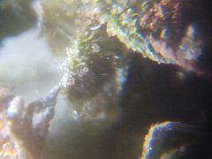 IMG_20211019_224950.jpg
