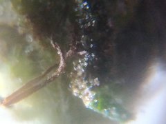 IMG_20211019_225050.jpg