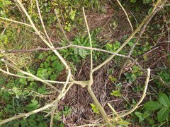 IMG_20211022_091819.jpg