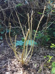 IMG_20211022_105051_1.jpg