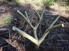 IMG_20211022_110402.jpg