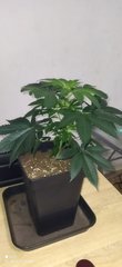 IMG_20211027_210948.jpg