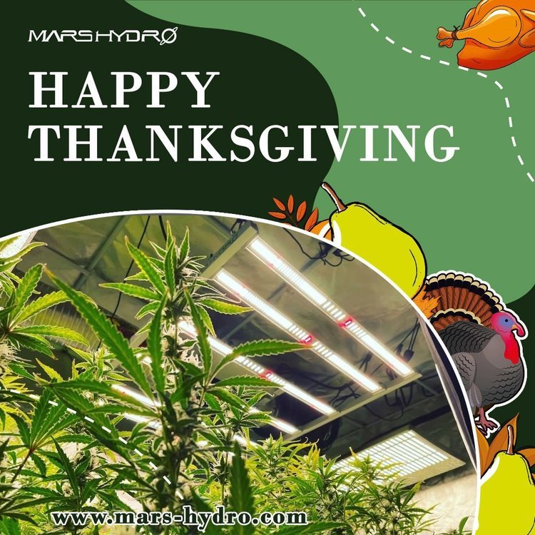 Thanksgiving - Mars Hydro.jpg