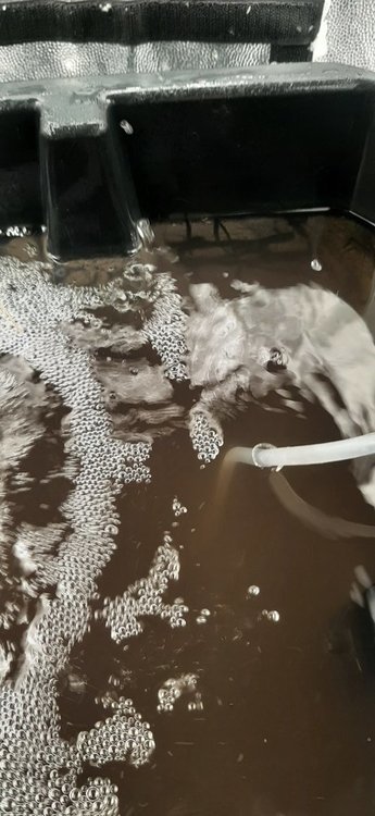 20211108_085247.thumb.jpg.ee499a215150e5d1c32a85a3320f0f5f.jpg