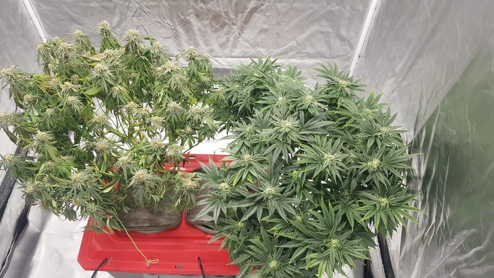 20211119_115626.jpg