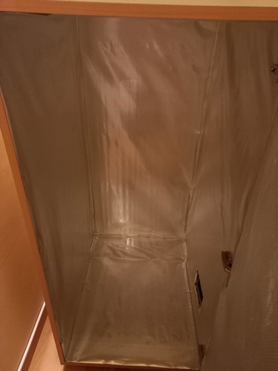 20211128_184406.thumb.jpg.045f4c9668cbf7f381149eb94a37d908.jpg
