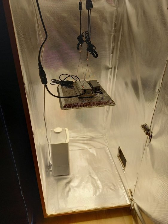 20211130_222241.thumb.jpg.a36055cf3ac89931d55a96b9f1669a64.jpg