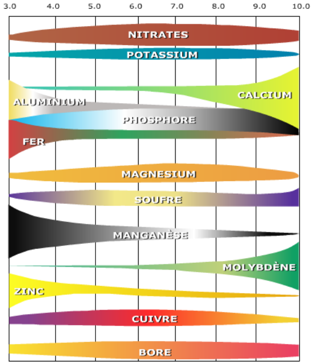 3874DE12-AB3D-459B-996B-C46EAAC1A0ED.png.86cbb36946aa9573fda84a45290e6c53.png