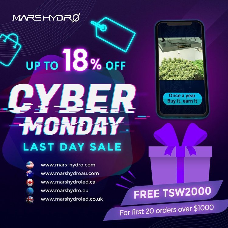 Cyber Monday Sale-1.jpg