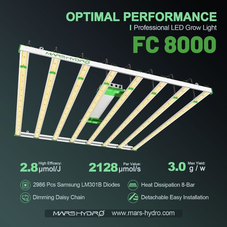 FC-8000 LED grow light.jpg