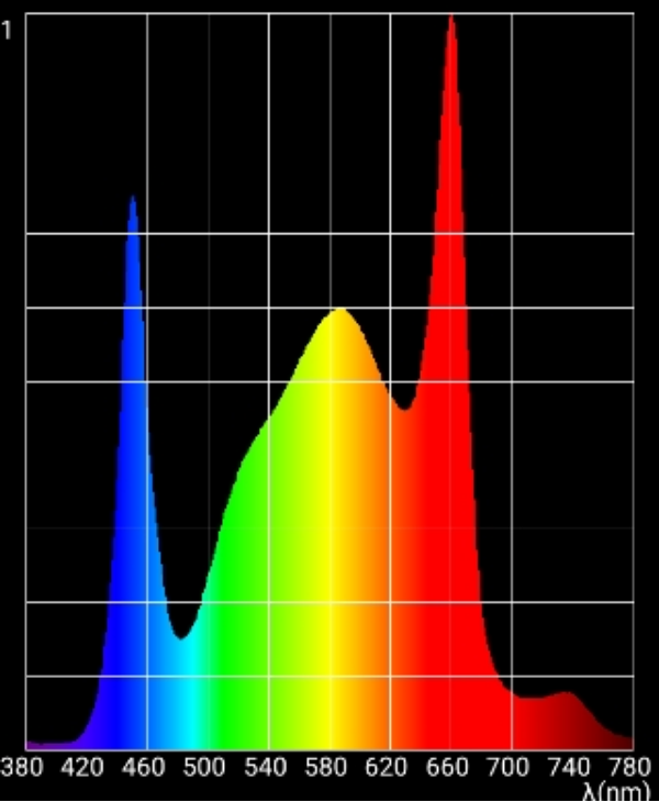 986449692_evo360sanlight.png.df6e3dac209fbf8082c5de481a5affb4.png