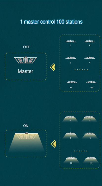 H502d2271315e46d497040383543da653q.png