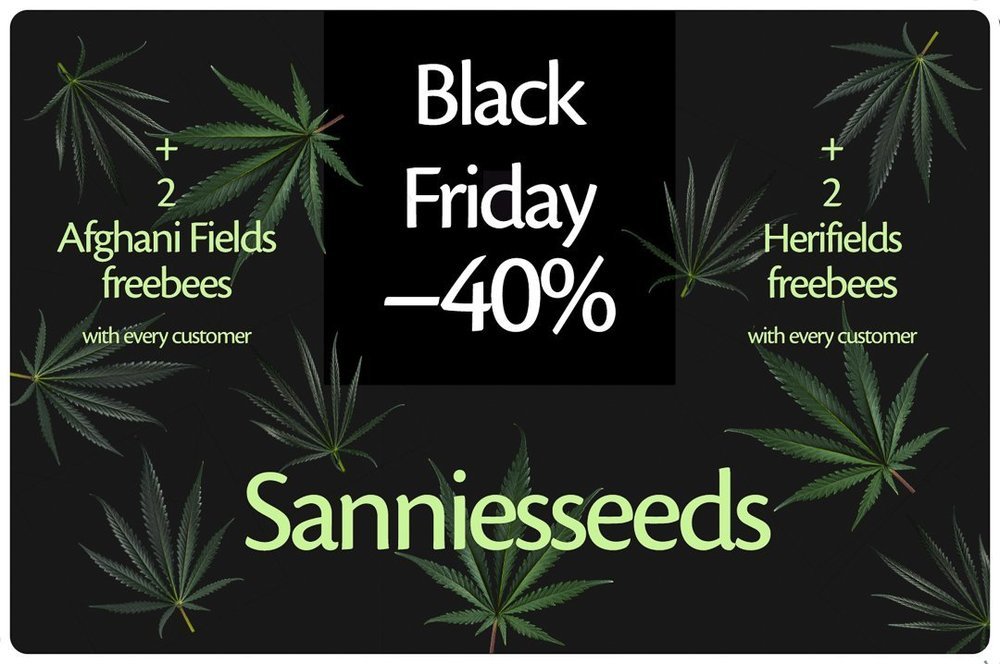 blackfriday-shop-banner.thumb.jpg.ee2a7a3f50a9f50a7994fdfeb0d193f1.jpg